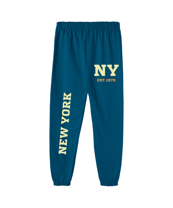 BOYS TRACK PANT (PACK OF 3)