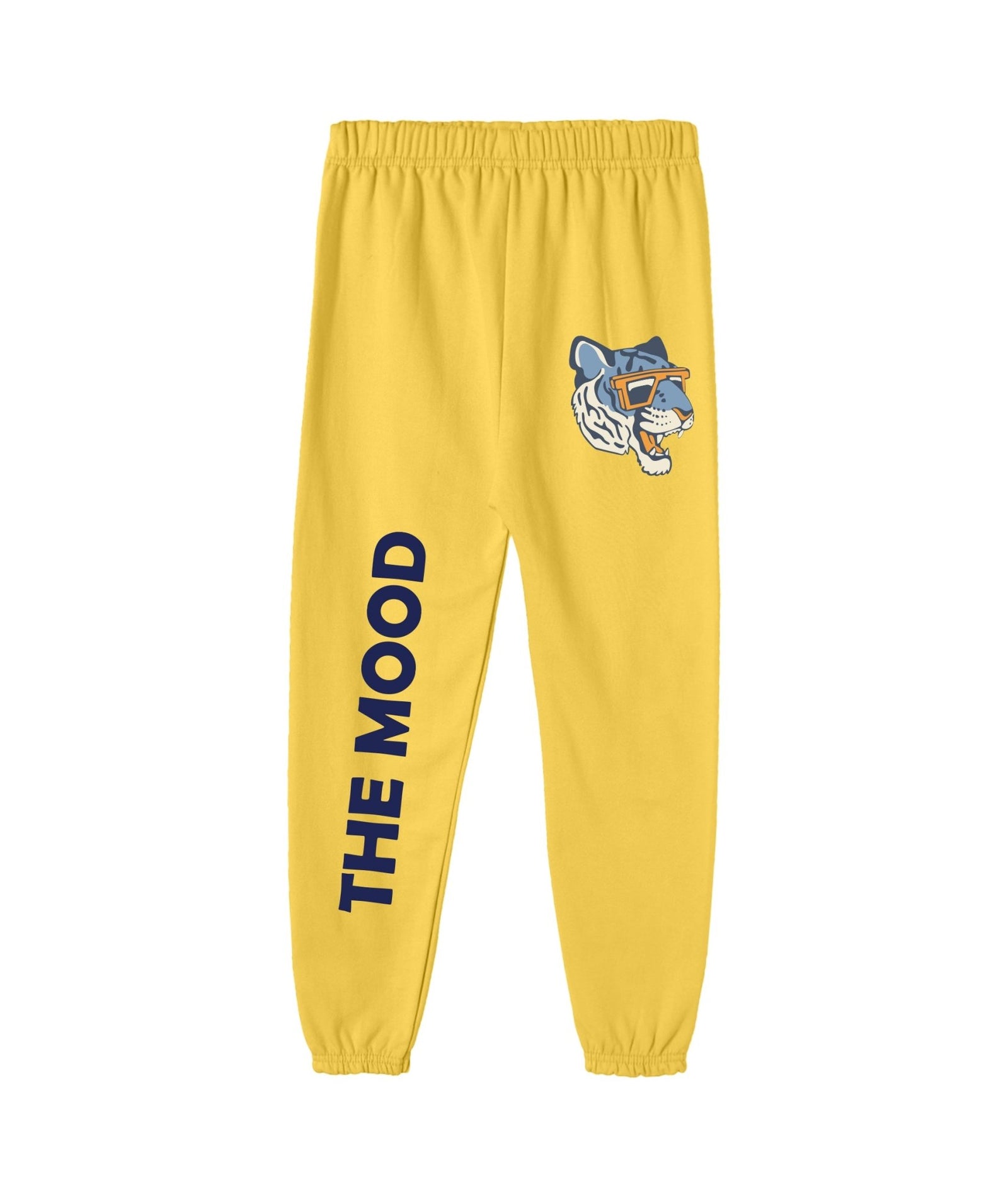 BOYS TRACK PANT (PACK OF 3)