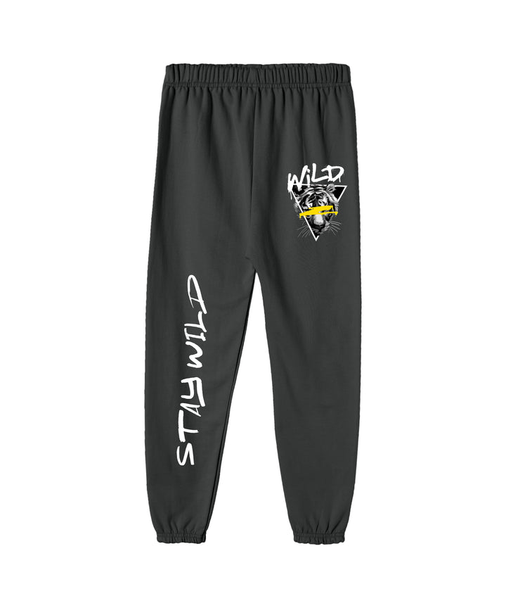 BOYS TRACK PANT (PACK OF 3)
