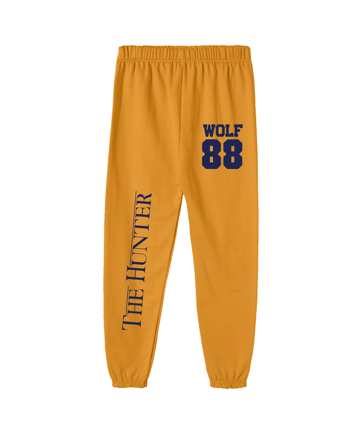 BOYS TRACK PANT (PACK OF 3)