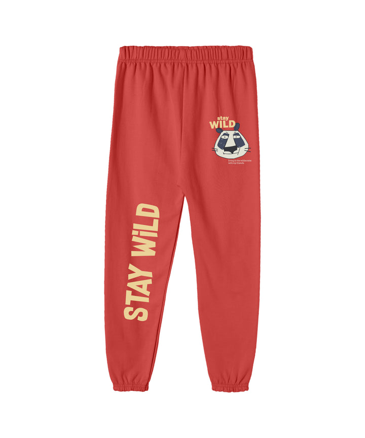 BOYS TRACK PANT (PACK OF 3)
